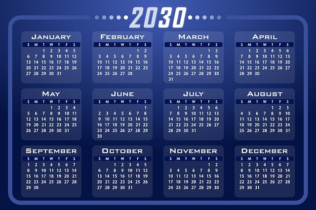 Free calendar planner schedule vector
