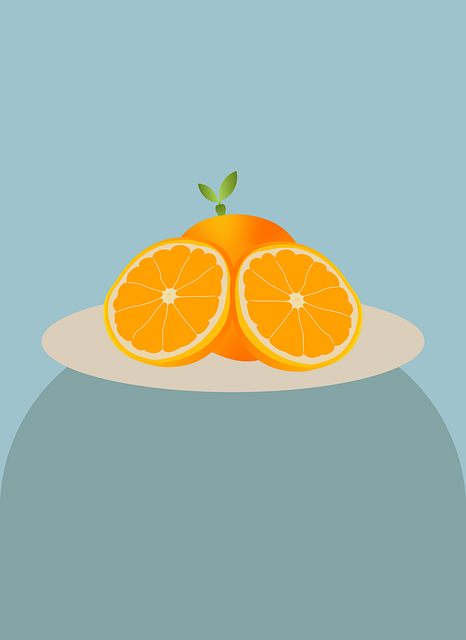 Free orange fruits slices illustration