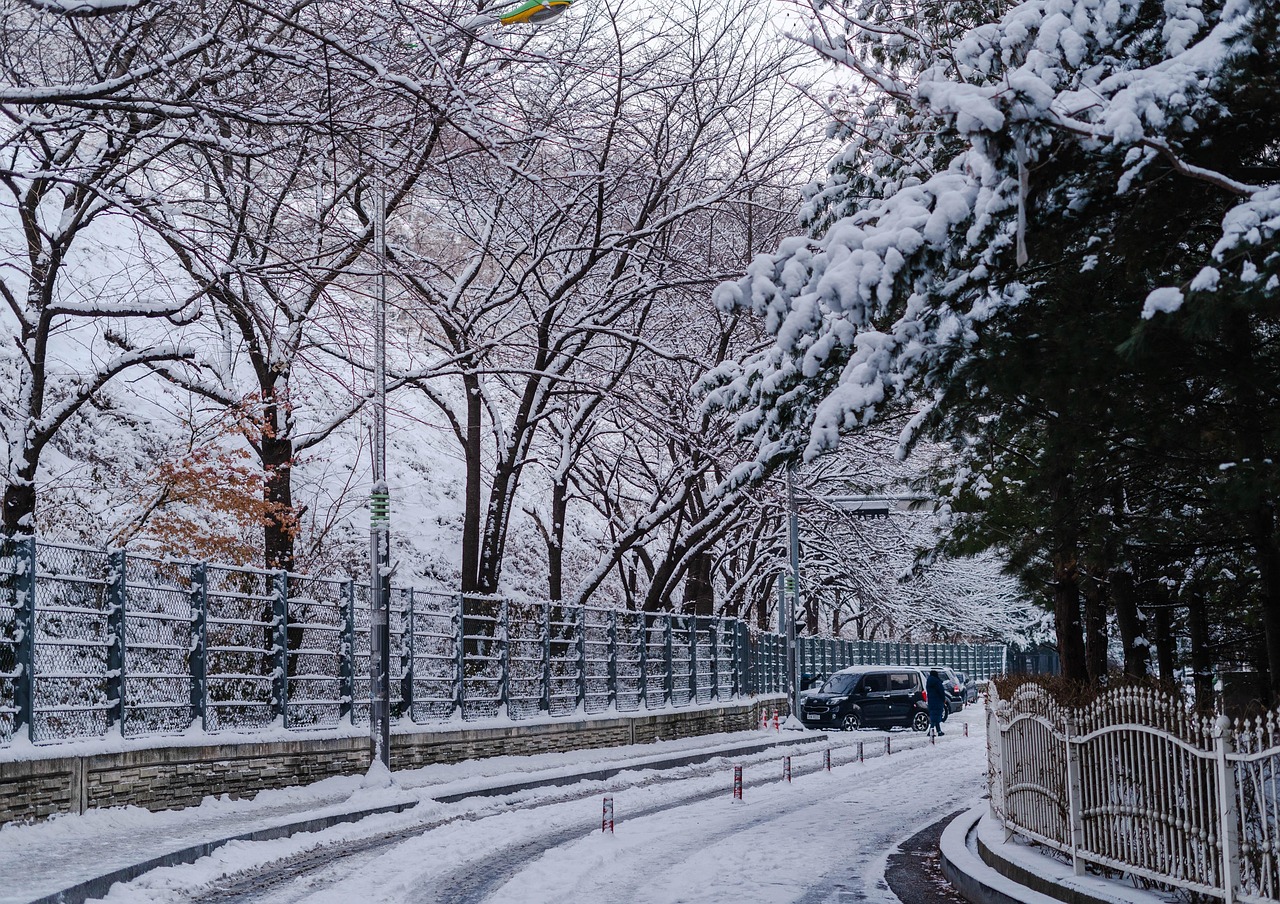 路 雪 冰 - Pixabay上的免费照片 - Pixabay