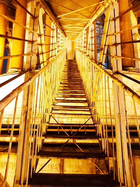Free Ladder Trap photo and picture