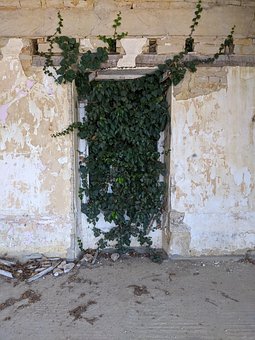 Free Door Nature photo and picture