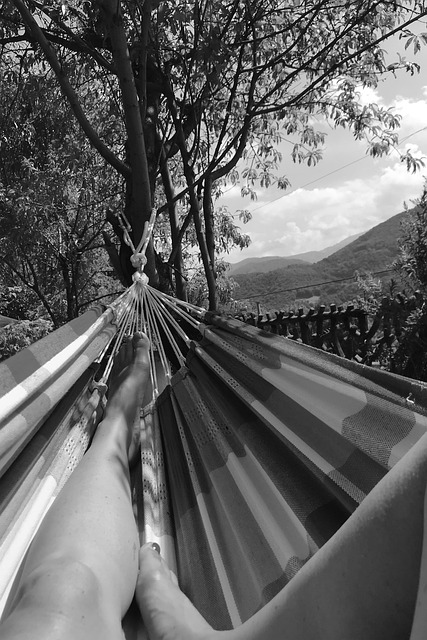Free Hammock Summer photo and picture