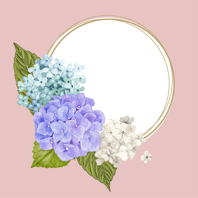 Free frame floral frame copy space vector