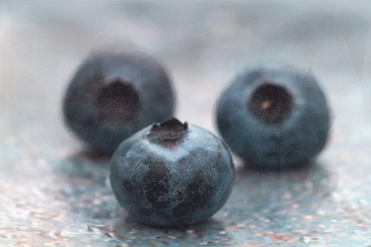 Blueberries - free online jigsaw puzzle photo
