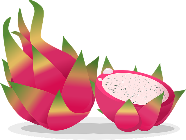 Free dragon fruit fruit food vector