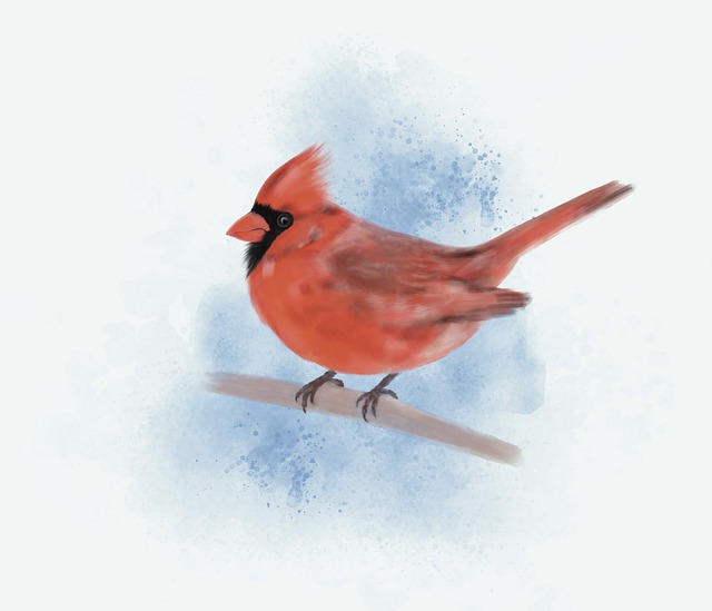 Free cardinal bird watercolor illustration