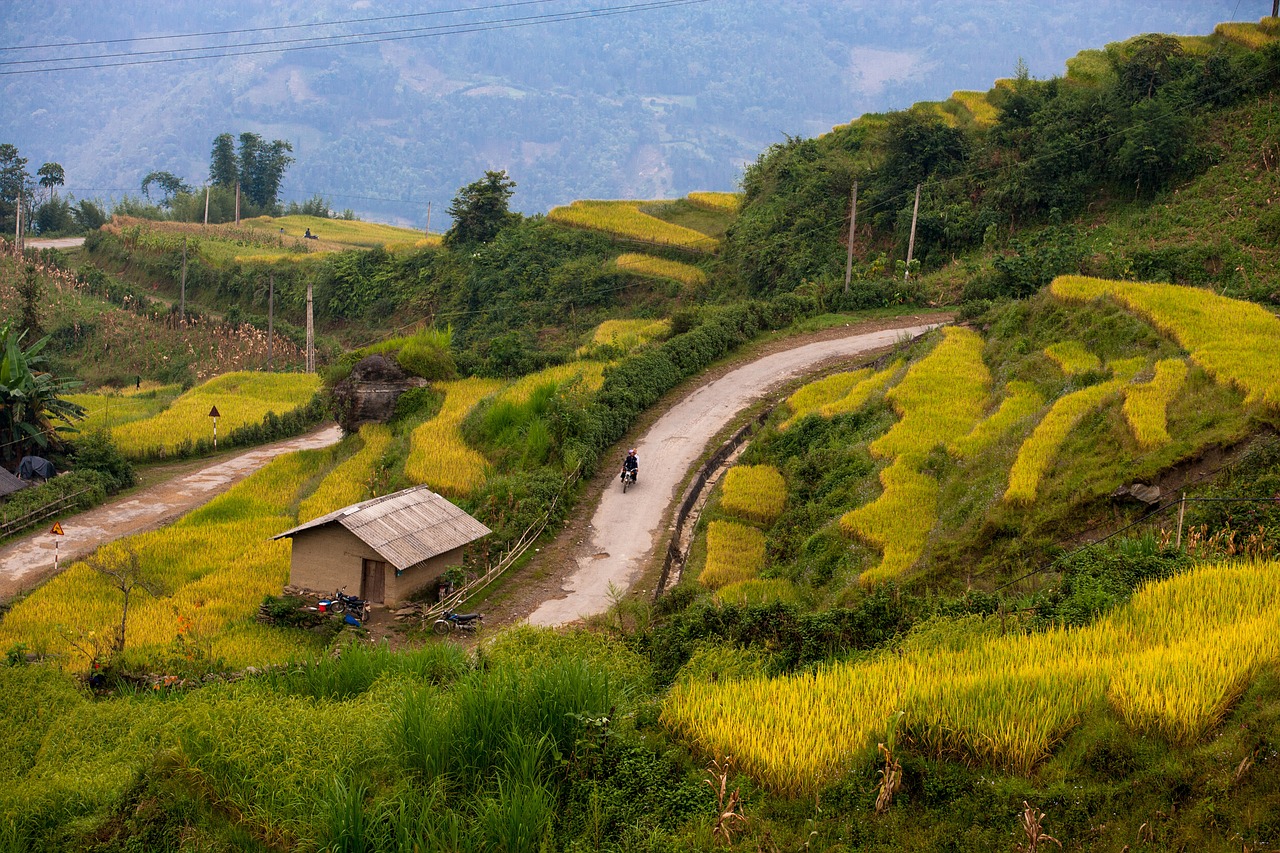 Nature - free online jigsaw puzzle photo