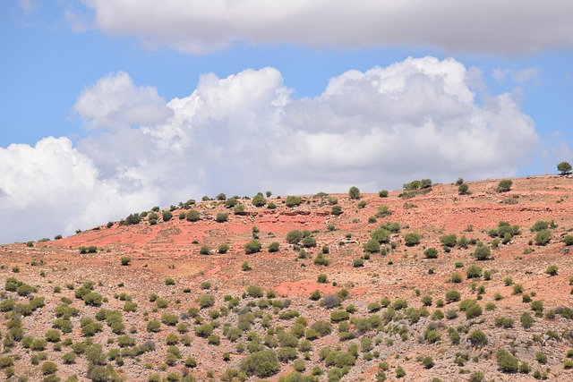 Free Red Earth Alumina photo and picture