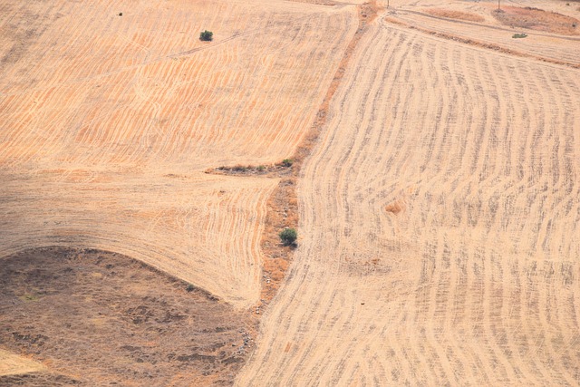 Free Field Landscape photo and picture