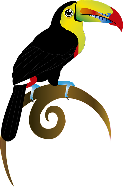 Tukan, Vogel, Sitzend, Natur, Bunt