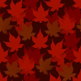 Free Autumn Fall photo and picture