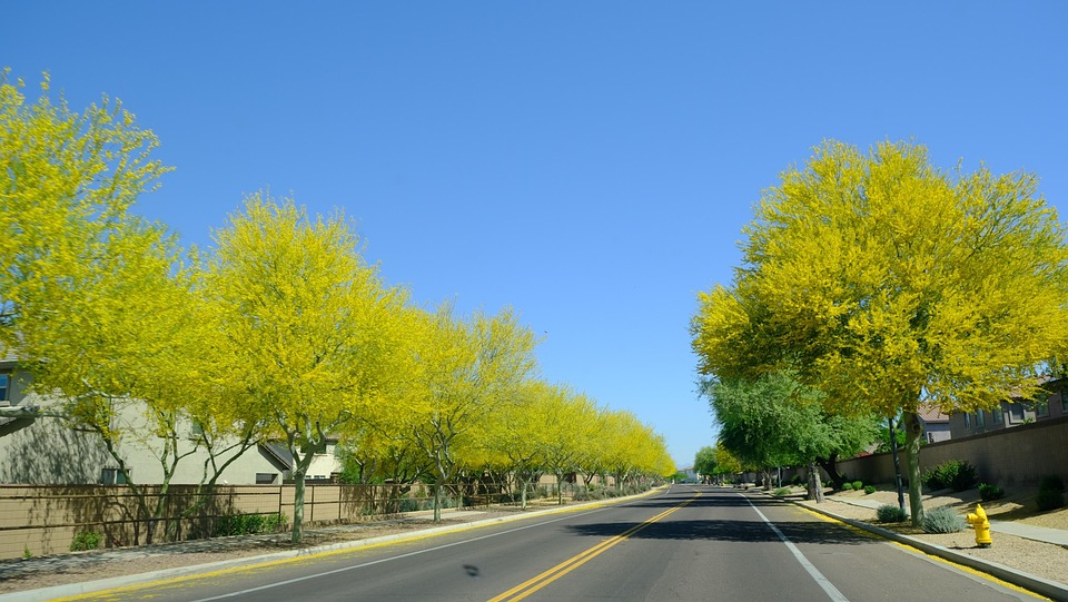 Street Nature Garden - Free photo on Pixabay - Pixabay