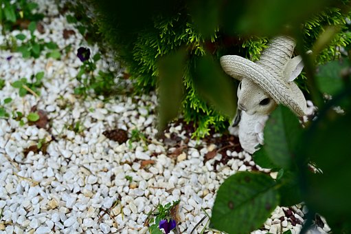 Free Background Garden photo and picture