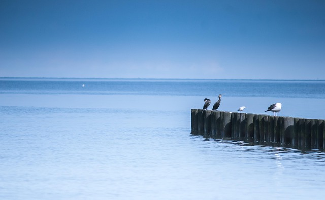 Free Sea Baltic Sea photo and picture