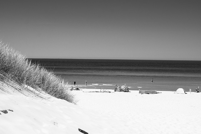 Free Sea Beach photo and picture