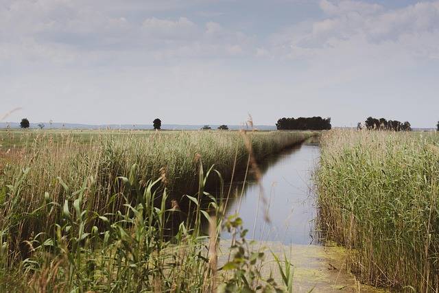 Free Stream Nature photo and picture