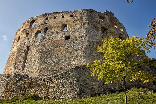Free Topolcany Castle Ruin photo and picture