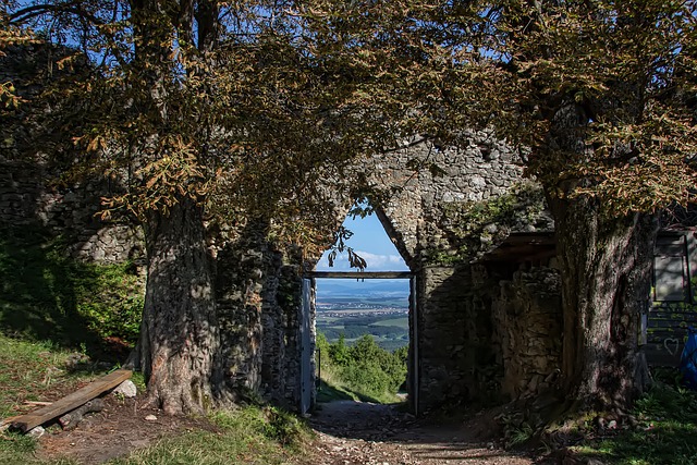 Free Topolčiansky Castle Slovakia photo and picture