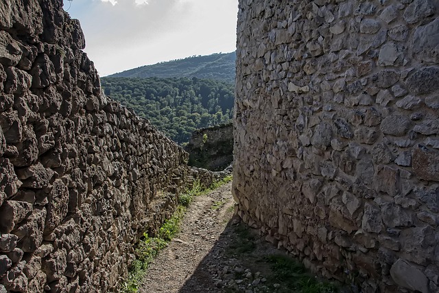Free Topolcany Castle Ruin photo and picture