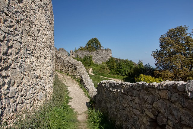 Free Topolcany Castle Ruin photo and picture