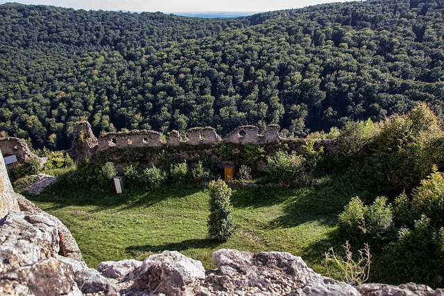 Free Topolcany Castle Ruin photo and picture