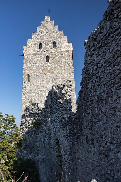 Free Topolcany Castle Ruin photo and picture