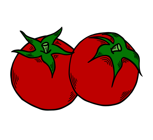 Free fruits tomatoes drawing illustration