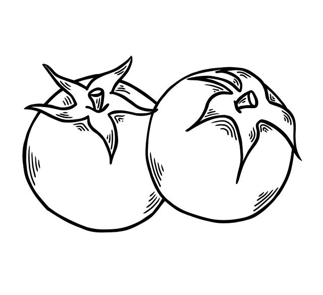 Free tomatoes fruits line art illustration