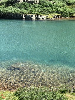 Lac, Lacul Albastru, Natura, Pădure