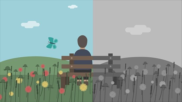 Free Park Contrast illustration and picture