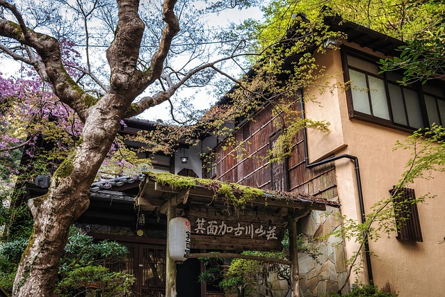 Free Architecture Asia photo and picture