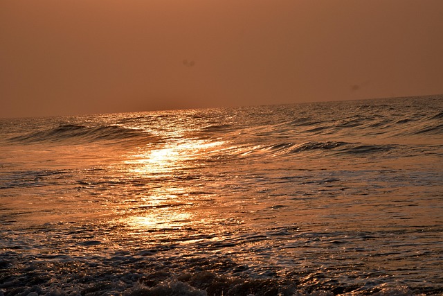 Free Sea Dawn photo and picture
