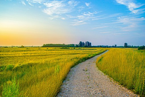 Free Countryside Dirt Path photo and picture