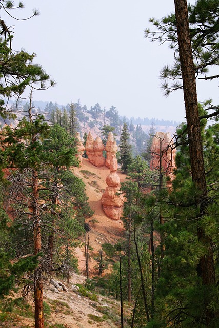 Free Bryce Canyon photo and picture