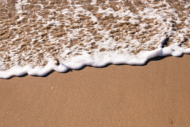 Strand, Meer, Ocean, Sand, Das Wasser