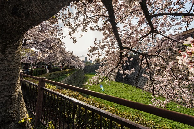 Free Asia Background photo and picture
