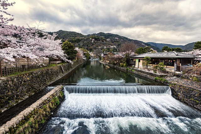 Free Waterfall River photo and picture