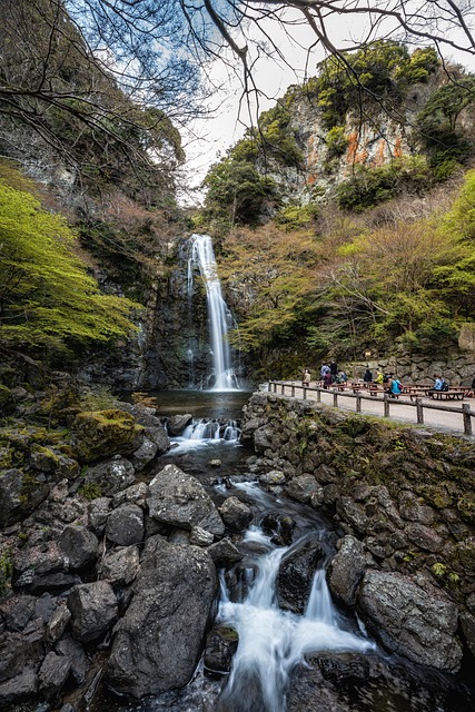 Free Waterfall Park photo and picture