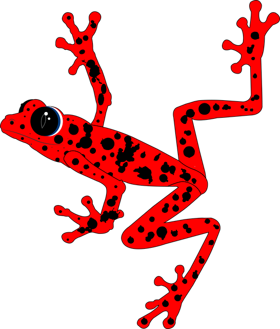 Frosch, Amphibie, Tier, Aquatic Animal