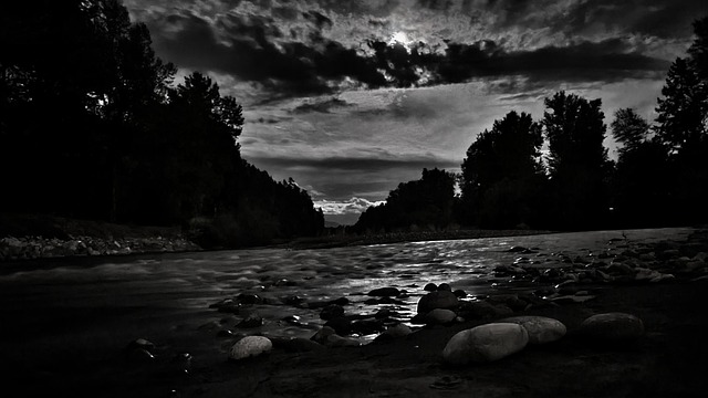 Free River Water photo and picture