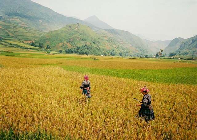 Free Agriculture Travel photo and picture