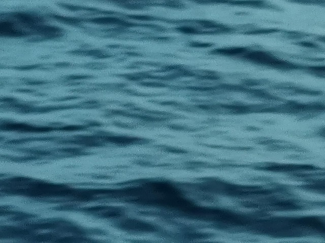 Free Sea Texture photo and picture