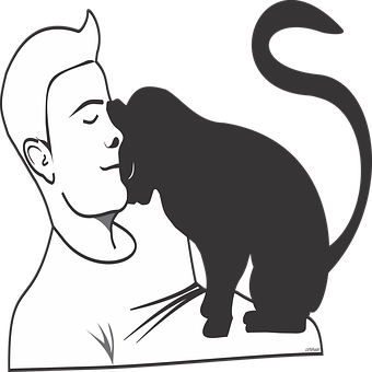 Free Cat Cute illustration and picture