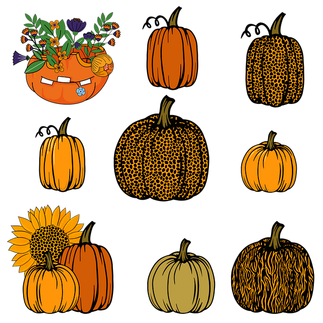 Abóboras, Vegetal, Cair, Girassol