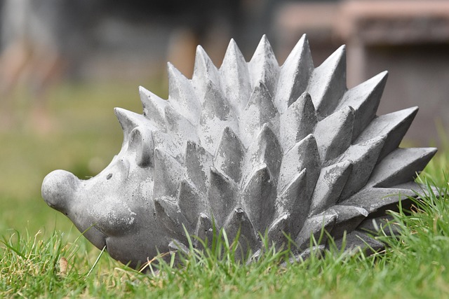 Free Hedgehog Animal photo and picture