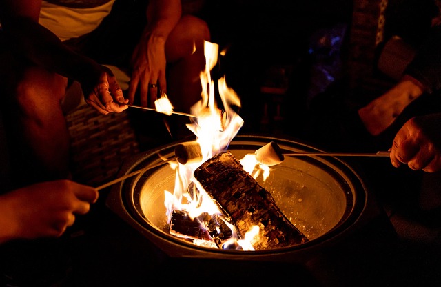 Free Fire Pit Camping photo and picture