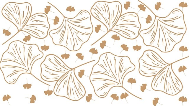Free ginko leaves the foliage illustration