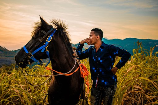 Free Horse Man photo and picture