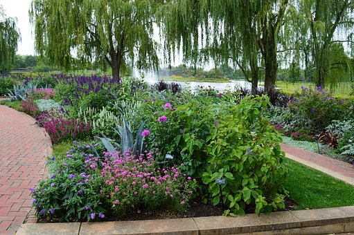 Free Garden Nature photo and picture