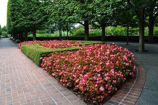Free Landscape Nature photo and picture